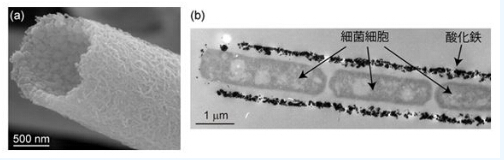 QQ截圖20140804113317