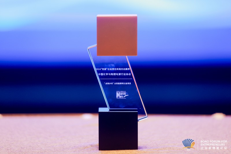 新華網(wǎng)&ldquo;2024雙碳社會責(zé)任實踐杰出案例&rdquo;